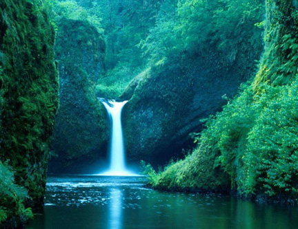 神農(nóng)架自然保護(hù)區(qū)