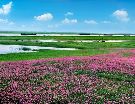 鄱陽(yáng)湖國(guó)家濕地